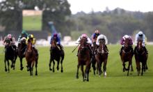 Rowleyfile Preview: Ascot Stakes Handicap