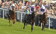 Derby Preview: Six of the best for O'Brien