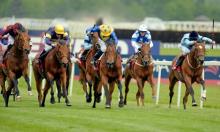 North American Weekend Preview: Idaho bordering on Canadian glory