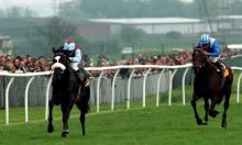 Comparing two-year-olds: The Swing-ometer