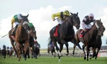 Blast From The Past: 2012 Cesarewitch