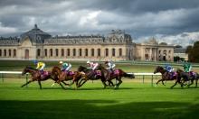 Ratings Update: Smart Senga suited by step up in trip