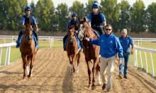 Hot To Trot: Have a break and have a punt on Kit Cat