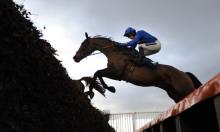 Hot To Trot: Repeat Lavelle venture on the cards