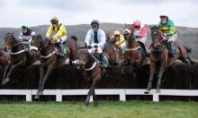 Hot to Trot: Cheltenham Festival special