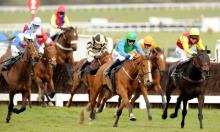 Cheltenham Festival 2018: The sires set for success