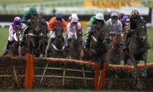 Cheltenham Friday: Trump and Dancer can serve up a corker 