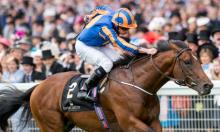 Irish Preview: Don't rule out Clemmie on return