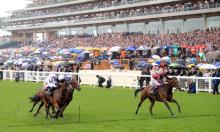 Breeders' Cup 2019: Six potential stars