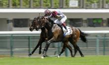 Prix Ganay: Zarak can make fitness count
