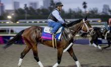 US Preview: Hunting the value in the Pegasus World Cup