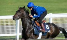 Timefigure review: Newmarket and Newbury