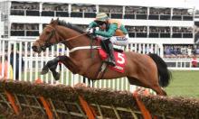 Hot To Trot: Warren in Great form