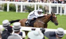 Irish Preview: Beckford progression to continue in Phoenix