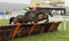 Pertemps Final: Impulsive can Star for Waley-Cohen