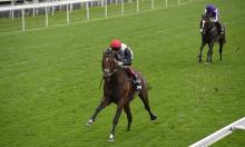 Of Ratings, Insanity and The Greatest Race of All Time