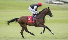 Irish Preview: Sovereigns can rule