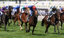 Melbourne Cup 2019: Eyeing up the European raiders