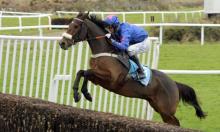 Ratings Update: Cue Card back to best before Gold Cup test