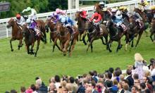 Hot To Trot: Could be a Marvellous week for Cox