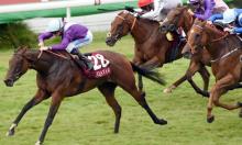 Rowleyfile Preview: 2018 Stewards' Cup