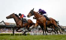 Yorkshire Cup Preview: Dartmouth a regal choice