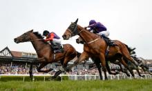 Melbourne Cup 2017: 10 best European chances