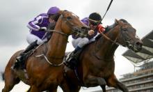 Royal Ascot Preview: The best of British