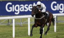 Prix Morny Preview: Raffle Prize can give Johnston his first Prix Morny