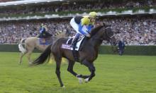 Searching the Timeform Sectional Archive: Flat Turf Racing