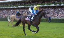 French Preview: Study of Man back in action