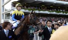 Qatar Prix de l'Arc de Triomphe 2016: Will Makahiki make an Impact?