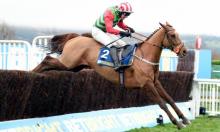 Premier Kelso Novices' Hurdle Preview: Electric Avenue