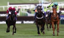 Cheltenham Festival Ratings Update: Novice races