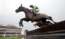 Denman: Racehorses essay