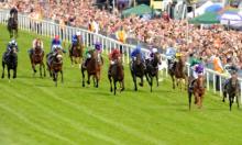 Derby entries: Naming names