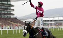 Don Cossack retired: The Timeform View