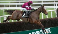 Punchestown Gold Cup Preview: Maximum Respect