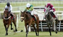 Betfair Hurdle: Pace Map Analysis