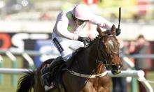 Jamie Lynch Weekend Preview: Directions for Douvan? 