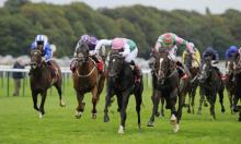Rowleyfile Preview: Betfred Mobile Stakes
