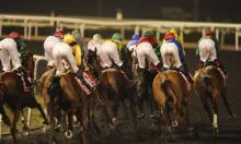Dubai World Cup 2017: Runner Guide
