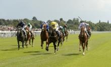 Hot To Trot: The Hills are alive