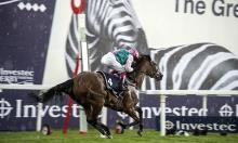 Yorkshire Oaks preview: Enable can end on a high in Britain