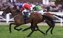 Setting The Scene: Expect fireworks on star-studded card at Fairyhouse