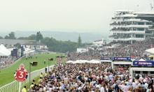 Derby Ratings Update: Eagle soars highest