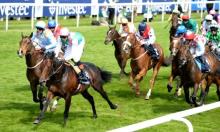 Rowleyfile Preview: 2018 Epsom Dash