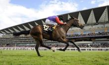 Royal Ascot Meeting 2016: Day Three Preview