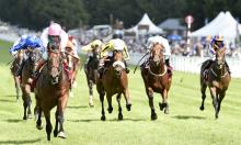 City of York Stakes Position Map Preview: Aye Eye