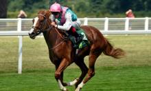 Hot To Trot: Walk on the wild side